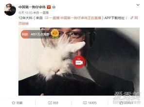 卓伟爆料模特视频大全最新,模特视频大全引发热议，真相揭秘！  第2张